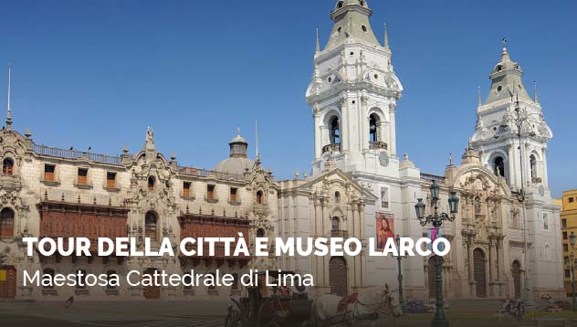 Tour Della Cittá e Museo Larco