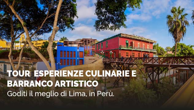 Tour esperienze culinarie e Barranco Artistico