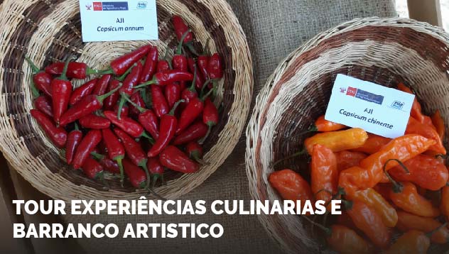 Tour Experiéncias Culinarias e Barranco Artístico